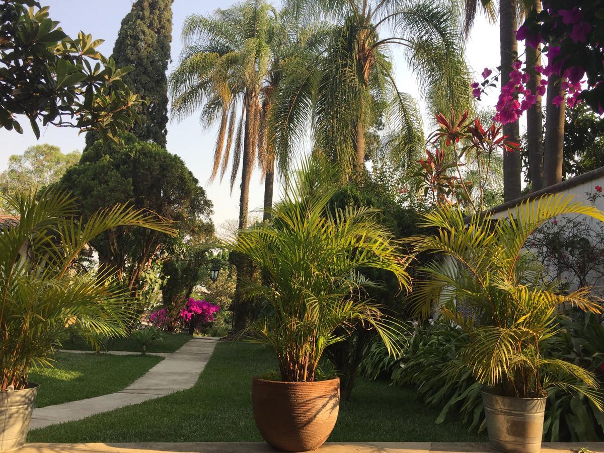 Villas Bellavista Cuernavaca Eksteriør billede