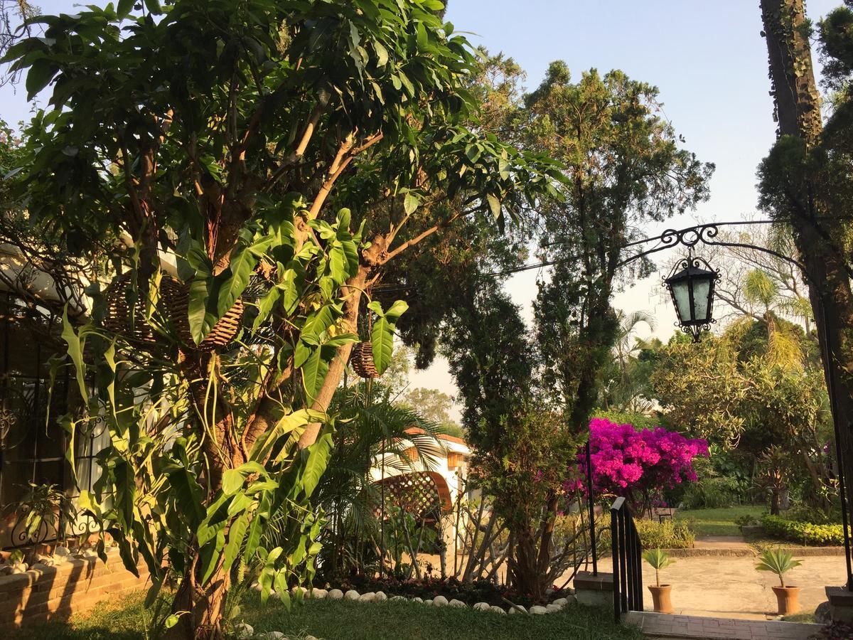 Villas Bellavista Cuernavaca Eksteriør billede